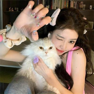 口碑好剧